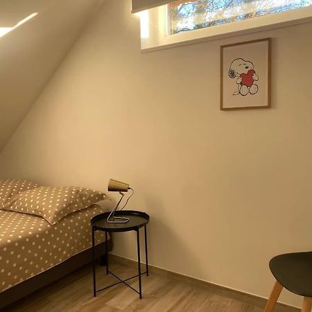 Appartement Dans Une Grange Renovee Straatsburg Buitenkant foto